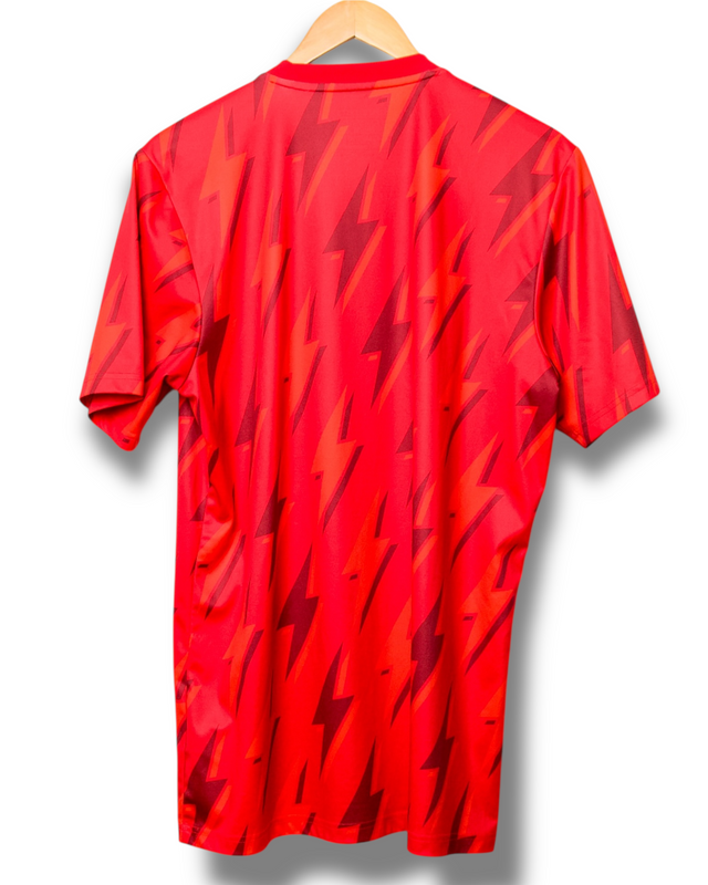 Arsenal 2023/2024 Pre-Match-Trikot (L)