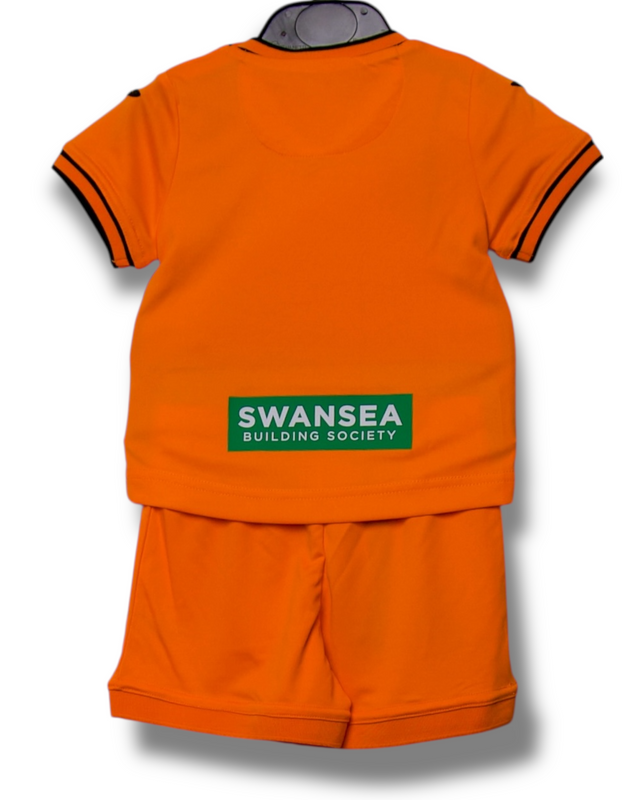 Swansea City 2023/2024 Home Shirt (74)
