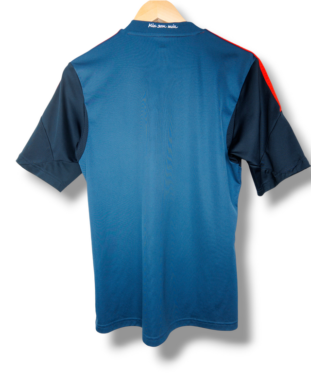Bayern Munich 2013/2014 Third Shirt (S)