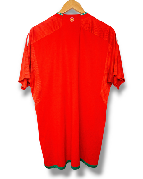 Wales 2022 Thuis Shirt (XL)