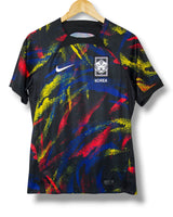 South Korea 2022 Pre-match Shirt (S)