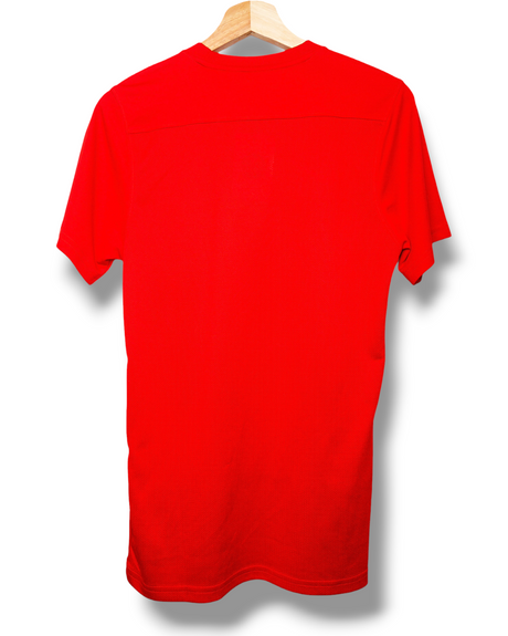 Larne FC 2021/2022 Thuis Shirt (S)