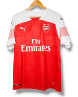 Arsenal 2018/2019 Thuis Shirt Aubameyang #14 (L)