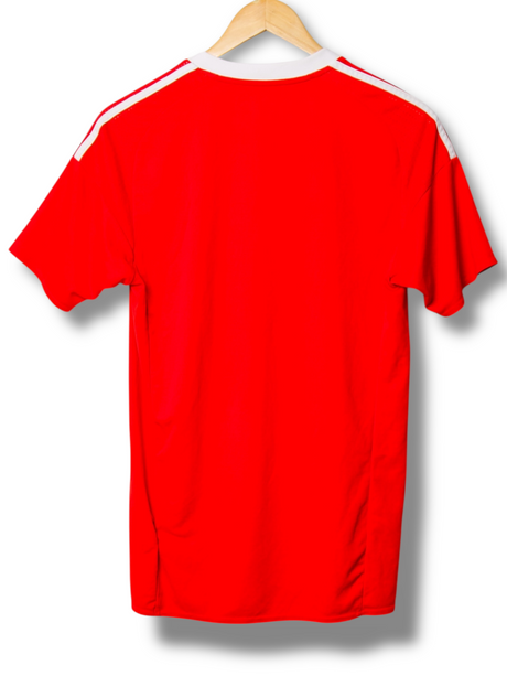 Wales 2016 Heimtrikot (S)
