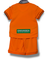 Swansea City 2023/2024 Home Shirt (74)