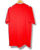 FC Twente 2018/2019 Trainingstrikot (XL)