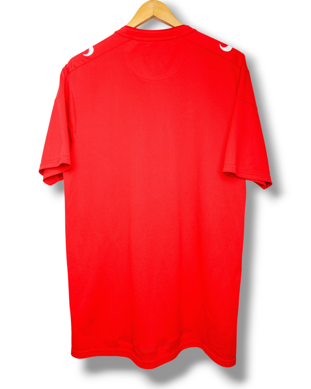 FC Twente 2018/2019 Trainingstrikot (XL)