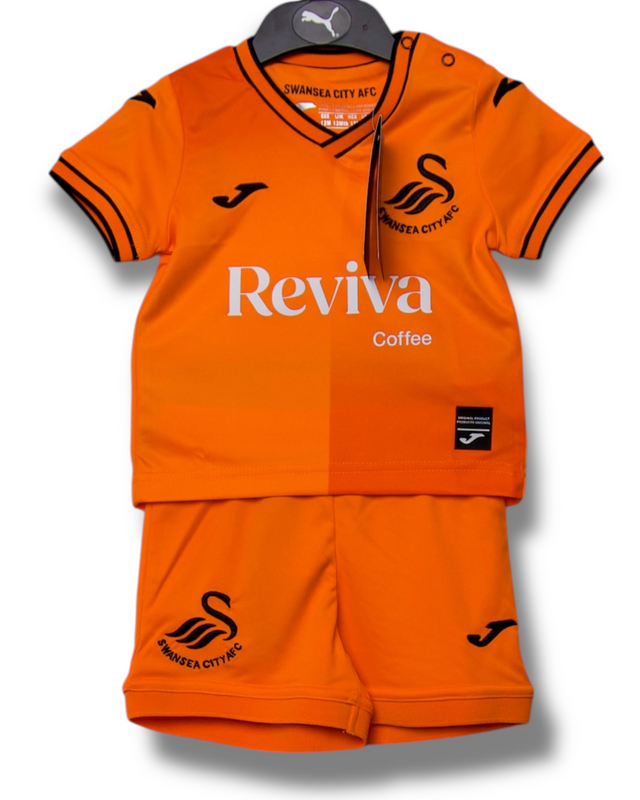 Swansea City 2023/2024 Home Shirt (74)