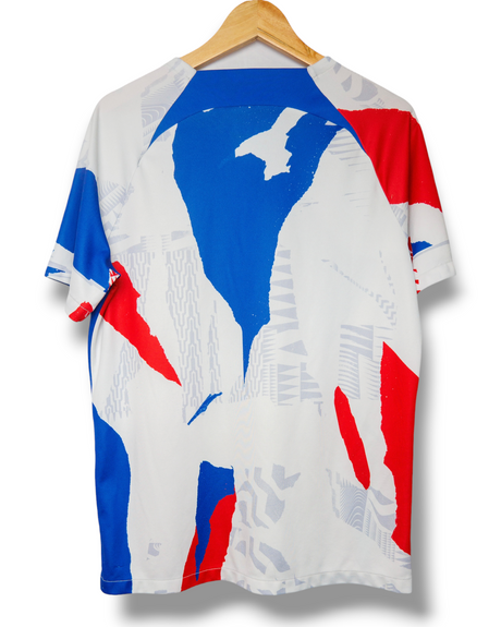 Frankrijk 2022 Pre match Shirt (L)