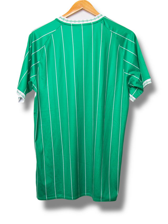 Dordrecht 2024/2025 Home Shirt (M)