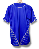 Dynamo Zagreb 2008/2009 Thuis Shirt (M)
