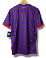 Arsenal 2013/2014 Away Shirt (M)