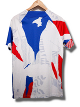 Frankrijk 2022 Pre-Match Shirt (M)